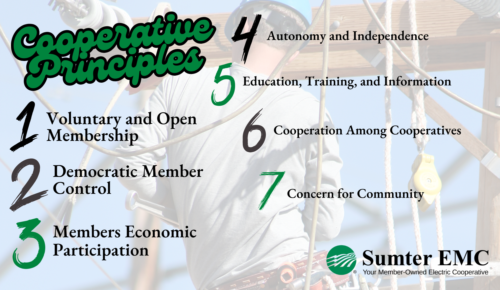 7 Cooperative Principles