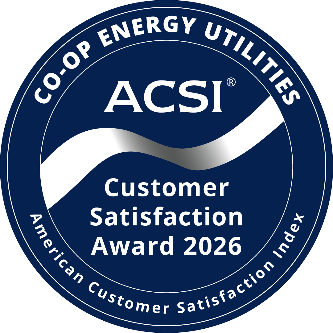 ACSI badge