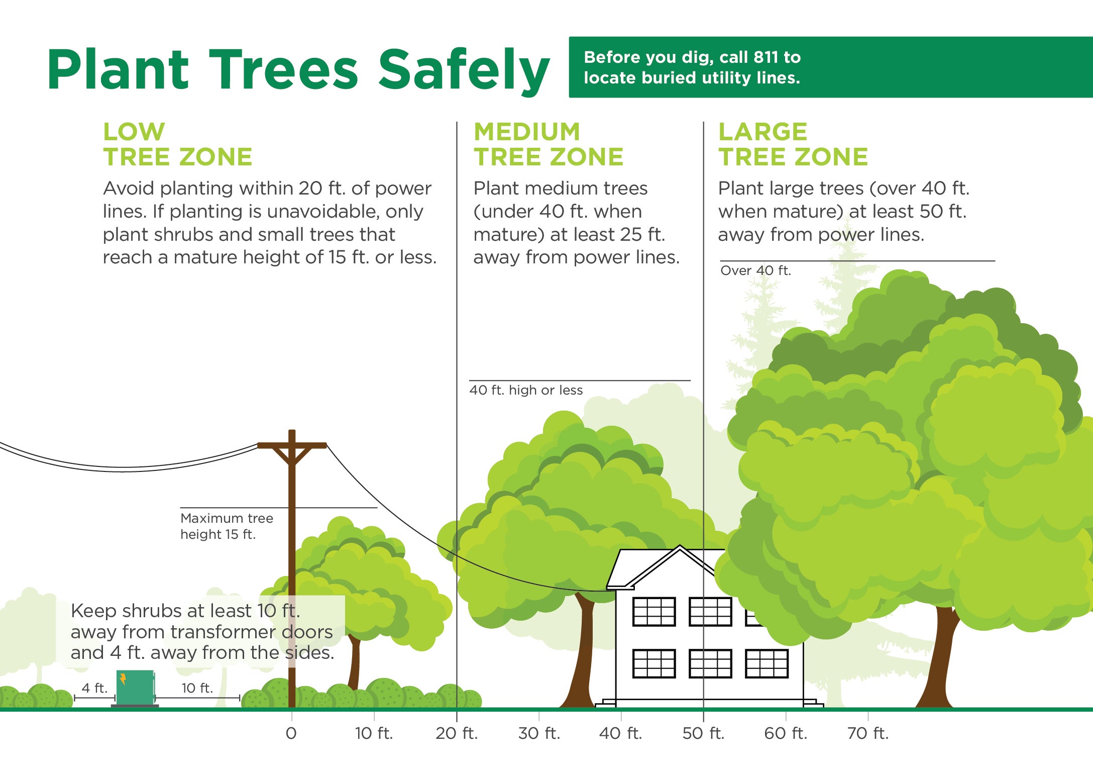 Plant Trees Safely